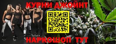 сатива Новозыбков