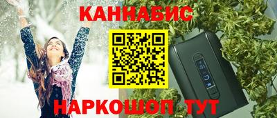 сатива Новозыбков