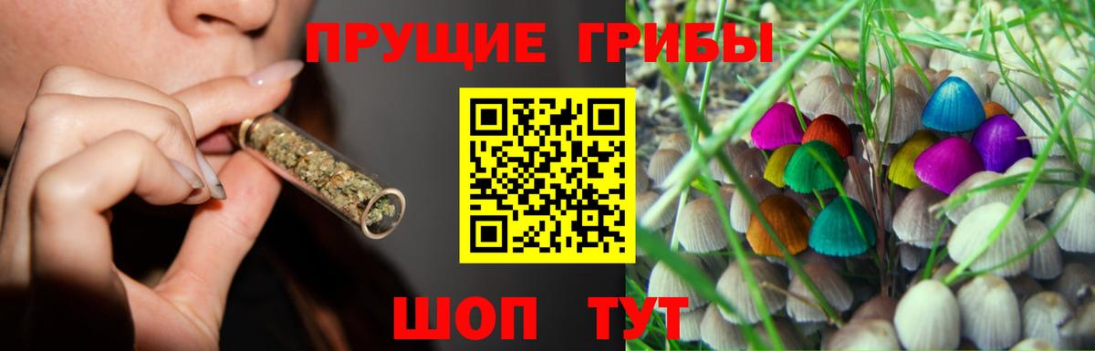 Галлюциногенные грибы Psilocybe  Вход с VPN  Феодосия 