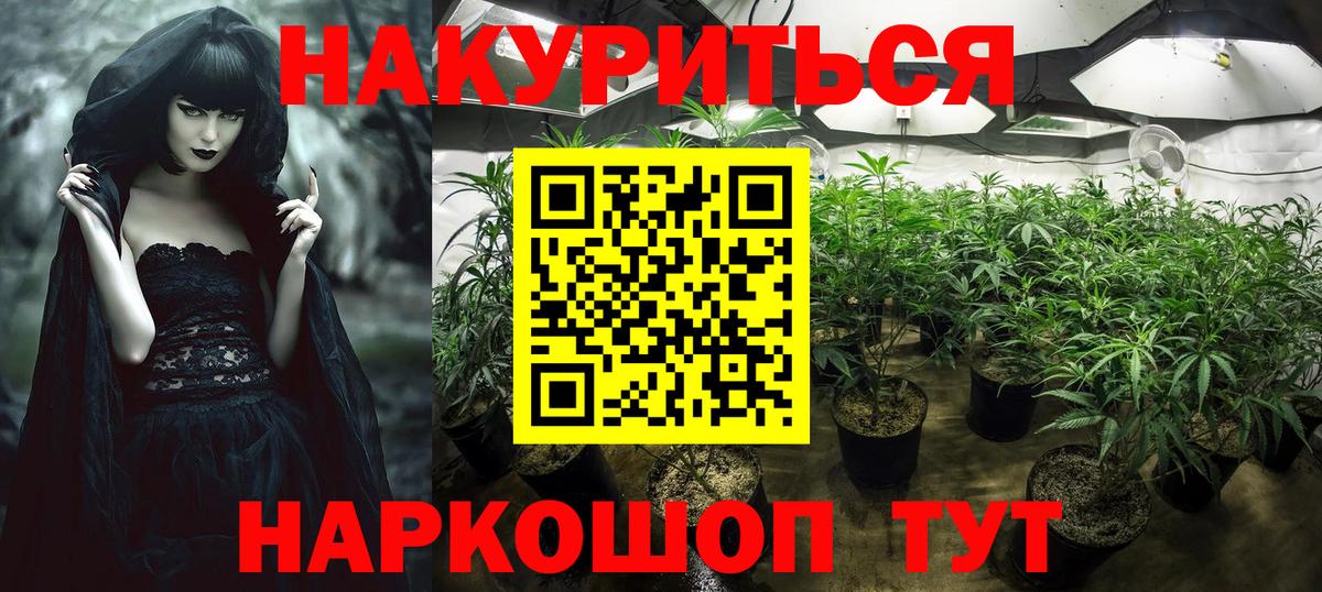 Каннабис AK-47  Конопля AK-47  Феодосия  Вход с VPN 